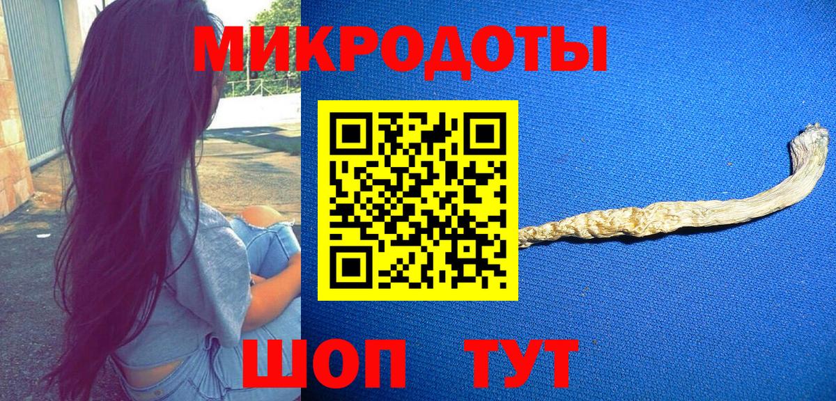 Михайловка  как найти наркотики  Вход с VPN  Псилоцибиновые грибы мицелий 