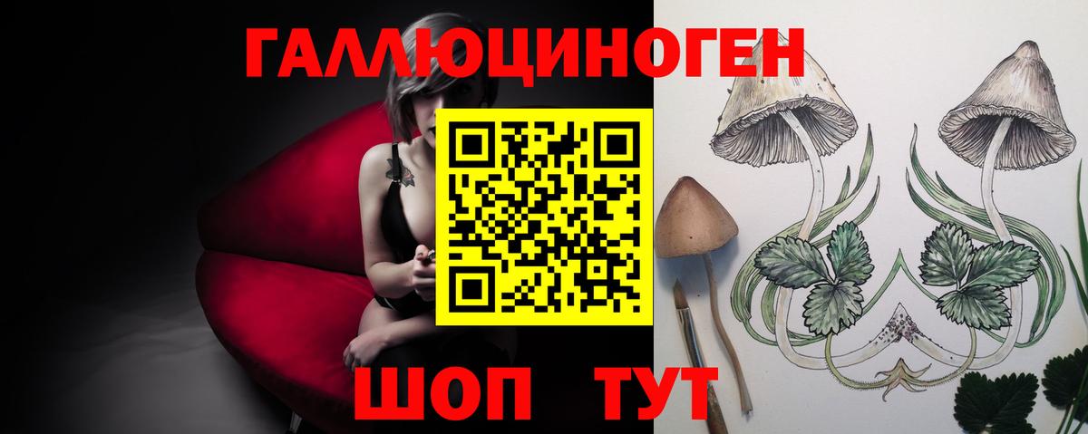 Галлюциногенные грибы GOLDEN TEACHER Михайловка